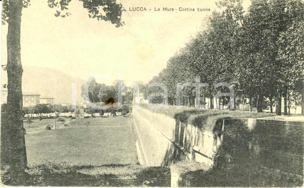 Cartolina originale da collezione 1915 ca LUCCA Veduta delle Mura CORTINA BUONA *Cartolina postale FP NV 1