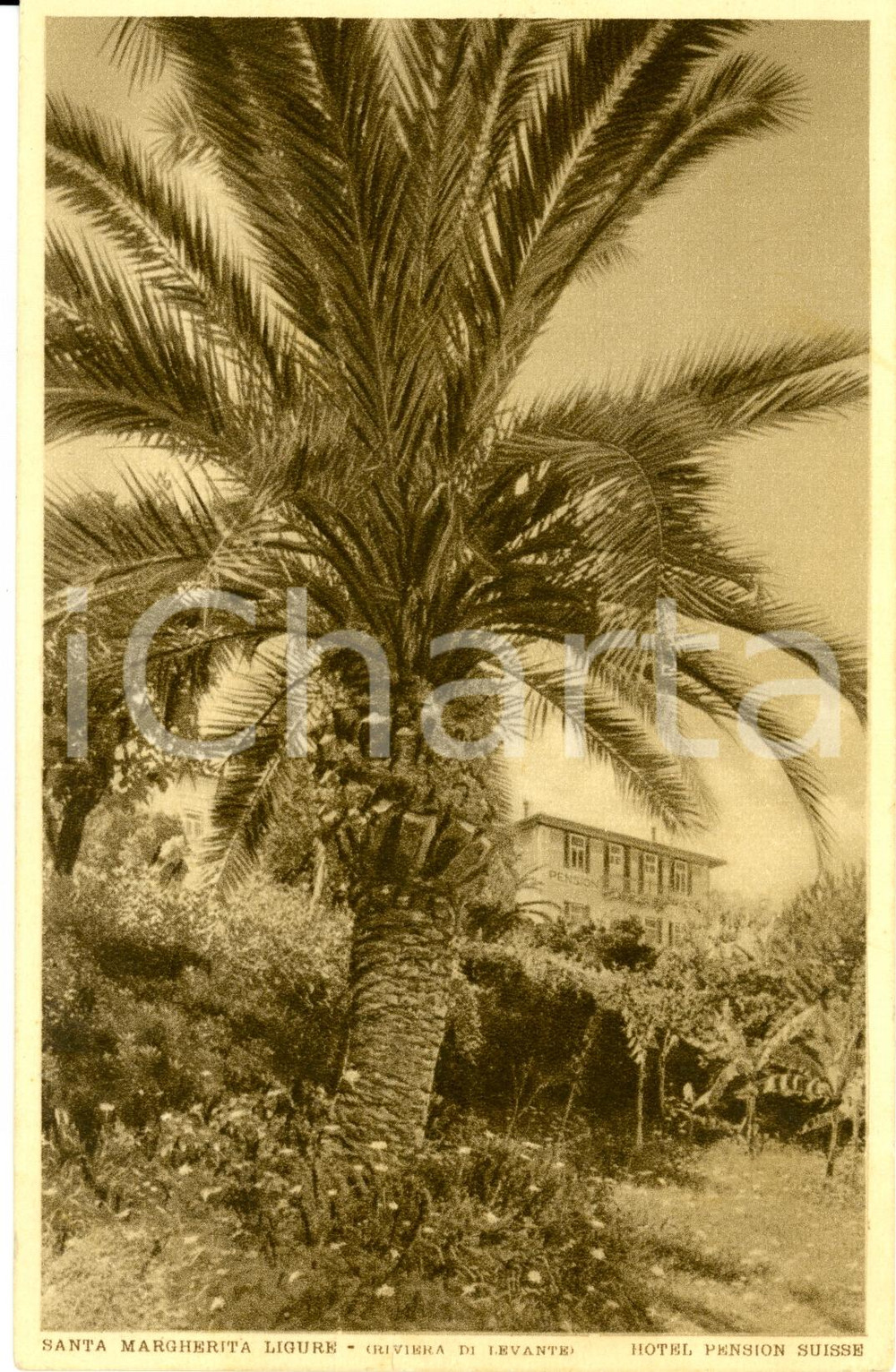 Cartolina originale da collezione 1936 SANTA MARGHERITA LIGURE GE RIVIERA DI LEVANTE Hotel PENSION SUISSE FP VG 1