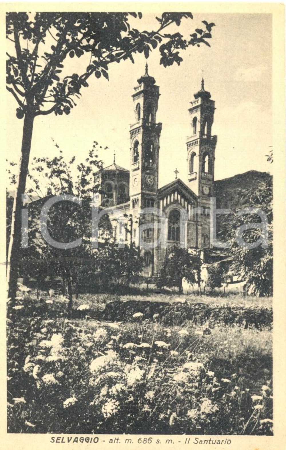 Cartolina originale da collezione 1943 GIAVENO (TO) Il Santuario di SELVAGGIO *Cartolina postale FP VG 1
