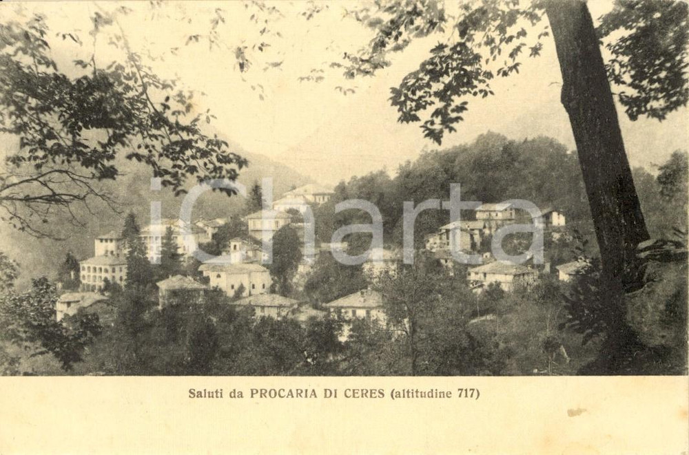 Cartolina originale da collezione 1928 PROCARIA DI CERES TO Veduta panoramica dell abitato Cartolina FP VG 1