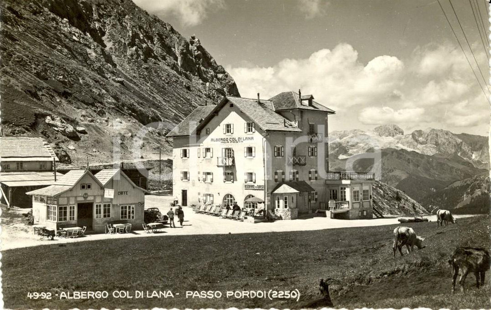 Cartolina originale da collezione 1945 ca PASSO PORDOI (TN) Albergo COL DI LANA mucche al pascolo *Cartolina FP NV 1