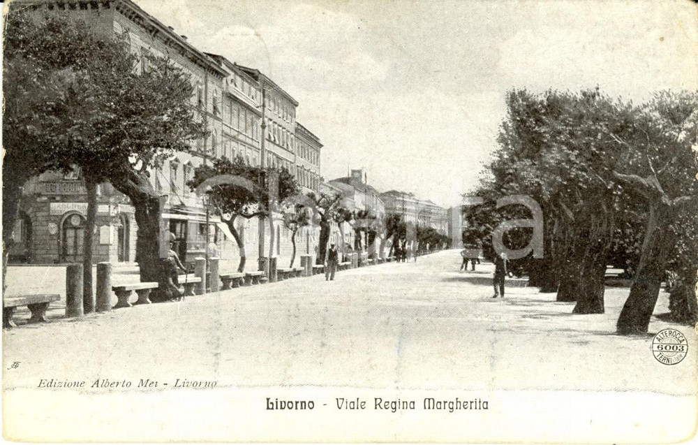 Cartolina originale da collezione 1913 LIVORNO Veduta di viale Regina MARGHERITA *Cartolina postale ANIMATA FP VG 1