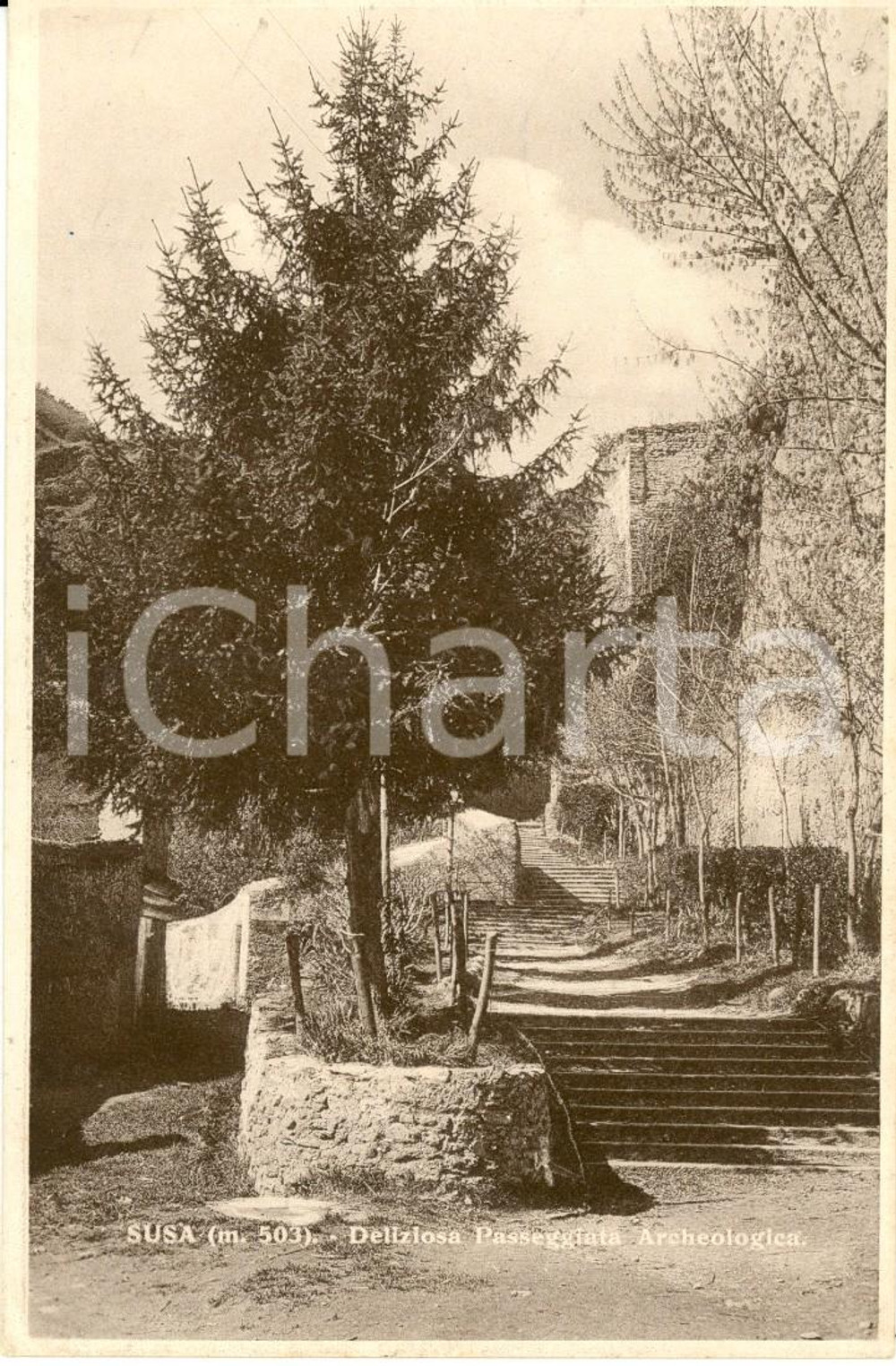 Cartolina originale da collezione 1930 ca SUSA (TO) Veduta della passeggiata archeologica *Cartolina postale FP NV 1