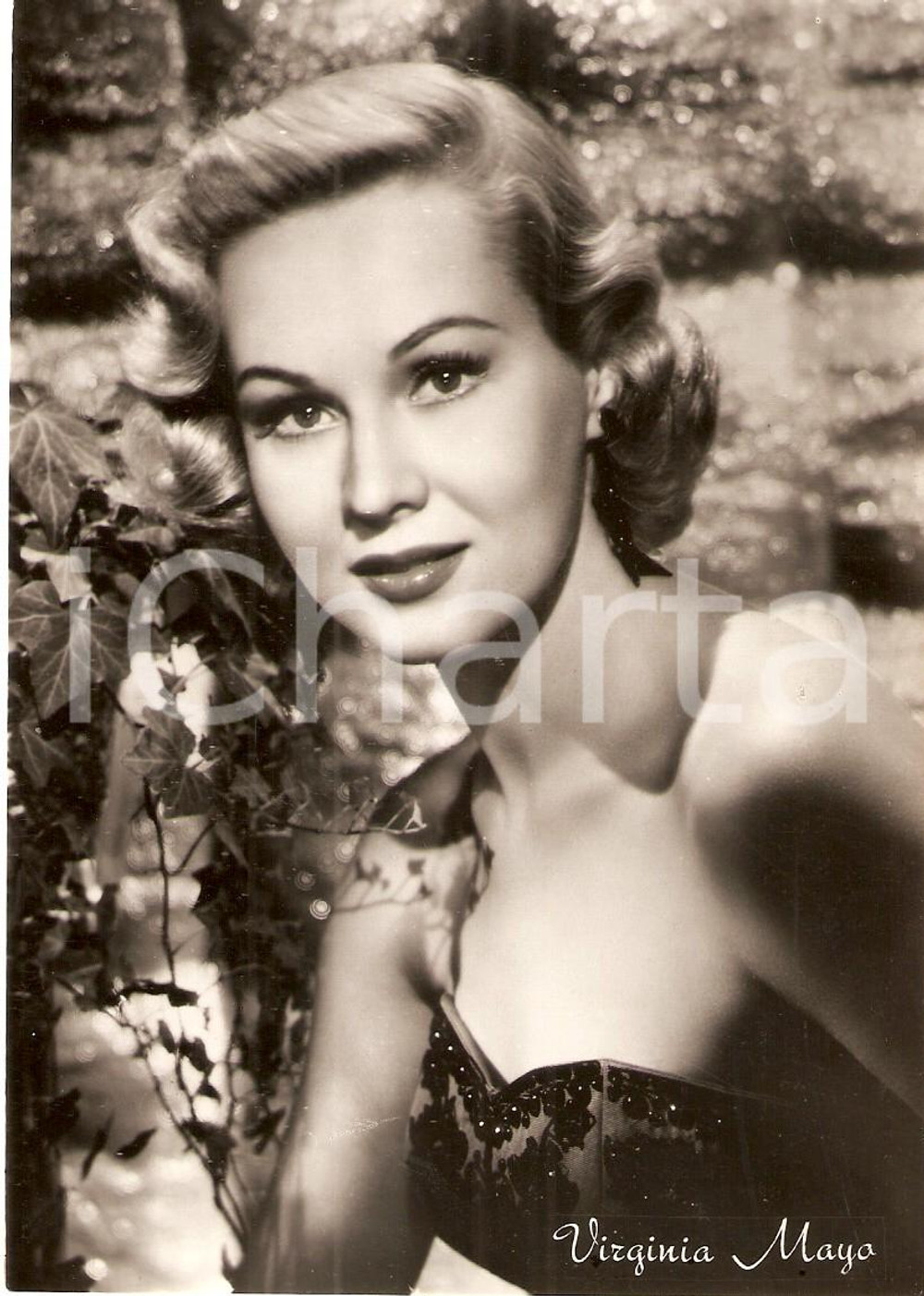 Cartolina originale da collezione 1955 ca CINEMA Actress Virginia MAYO Portrait with ivy *Cartolina FG NV 1