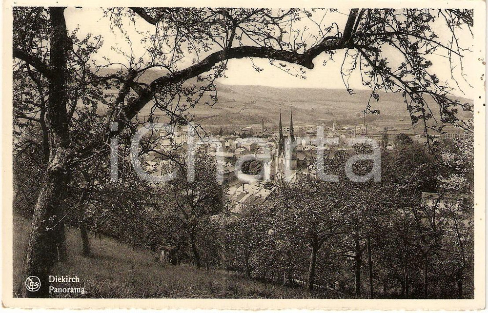 Cartolina originale da collezione 1950 ca DIEKIRCH LUXEMBOURG Veduta della cittÃ  Cartolina FP NV 1