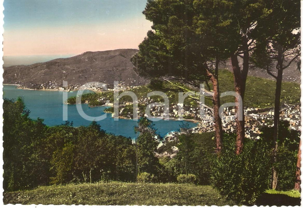 Cartolina originale da collezione 1960 ca RAPALLO GE Veduta della città dal Santuario di MONTALLEGRO Cartolina 1