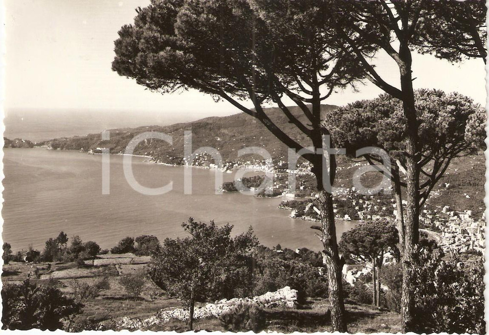 Cartolina originale da collezione 1960 ca RAPALLO GE Panorama dal Santuario di MONTALLEGRO Cartolina FG NV 1