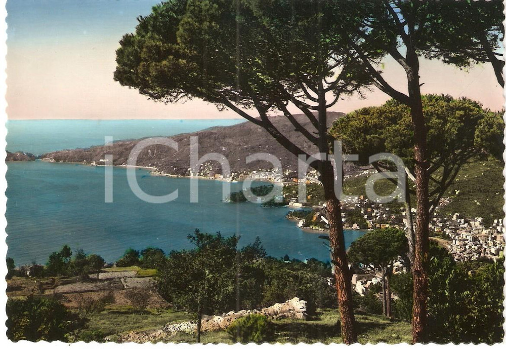 Cartolina originale da collezione 1960 ca RAPALLO GE Golfo del Tigullio dal Santuario di MONTALLEGRO Cartolina 1