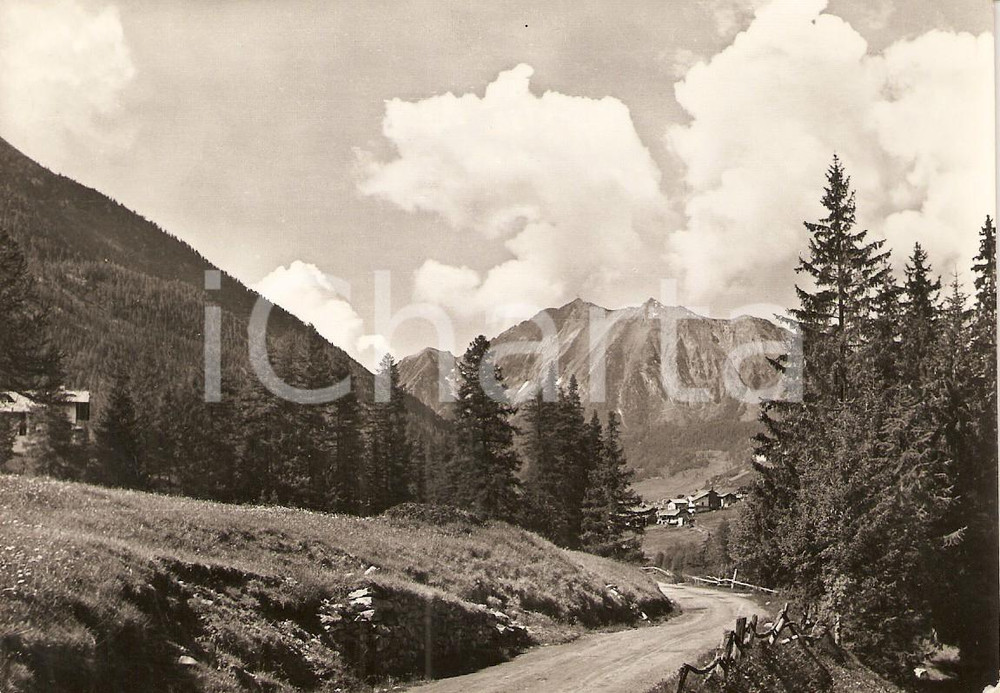 Cartolina originale da collezione 1956 VAL D'AYAS (AO) Panorama della Valle *Cartolina FG VG 1