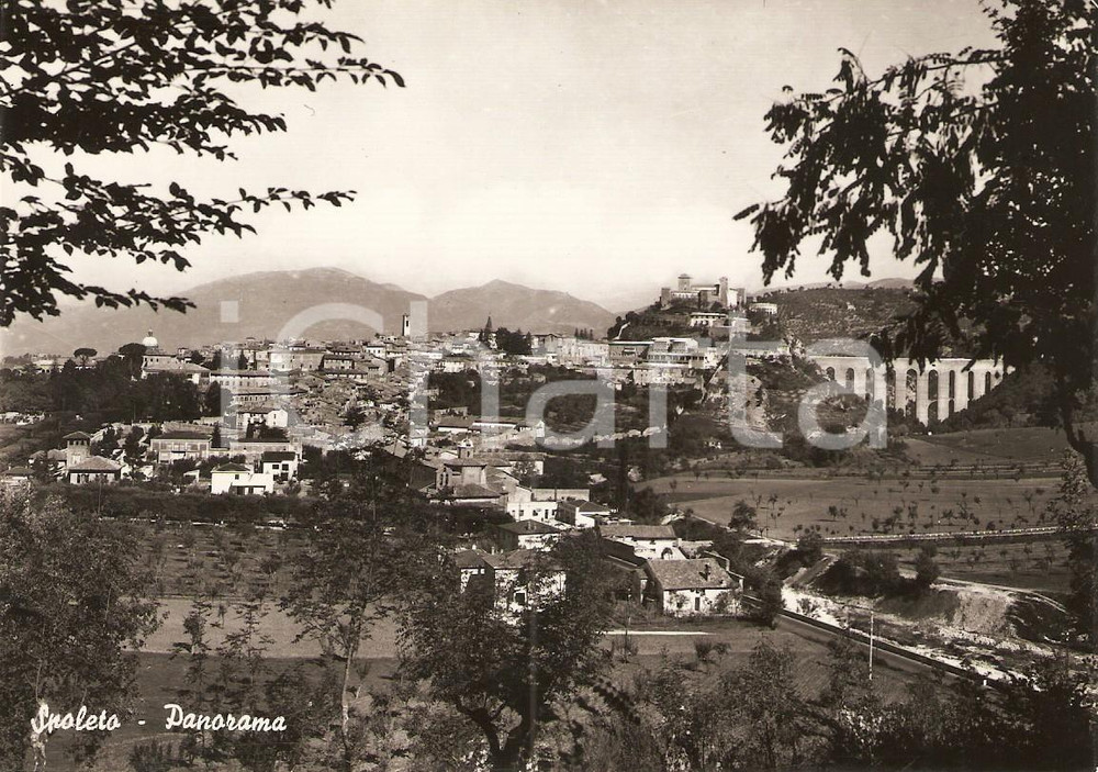 Cartolina originale da collezione 1950 ca SPOLETO (PG) Panorama della cittÃ  *Cartolina FG NV 1