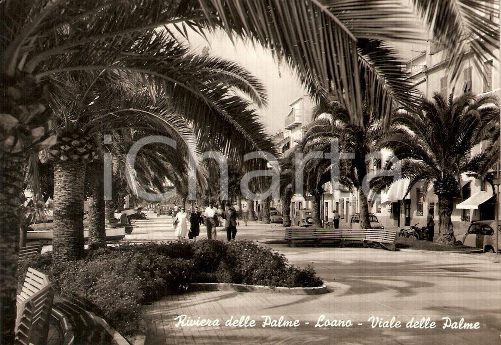 Cartolina originale da collezione 1958 LOANO (SV) Viale delle Palme *Cartolina ANIMATA 1