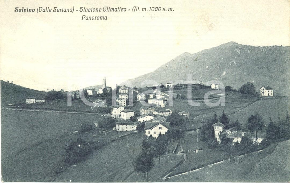 Cartolina originale da collezione 1930 ca SELVINO BG Stazione climatica in VALLE SERIANA Cartolina FP NV 1
