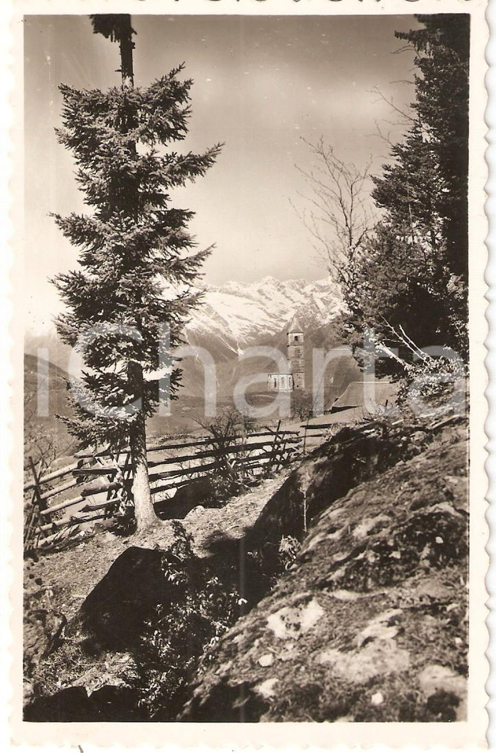 Cartolina originale da collezione 1951 AVELENGO (BZ) Scorcio con Chiesa SANTA CATERINA *Cartolina FP VG 1