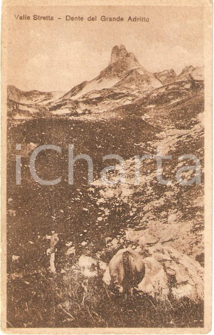 Cartolina originale da collezione 1920 ca BARDONECCHIA TO Valle STRETTA Dente del GRANDE ADRITTO Cartolina FP NV 1