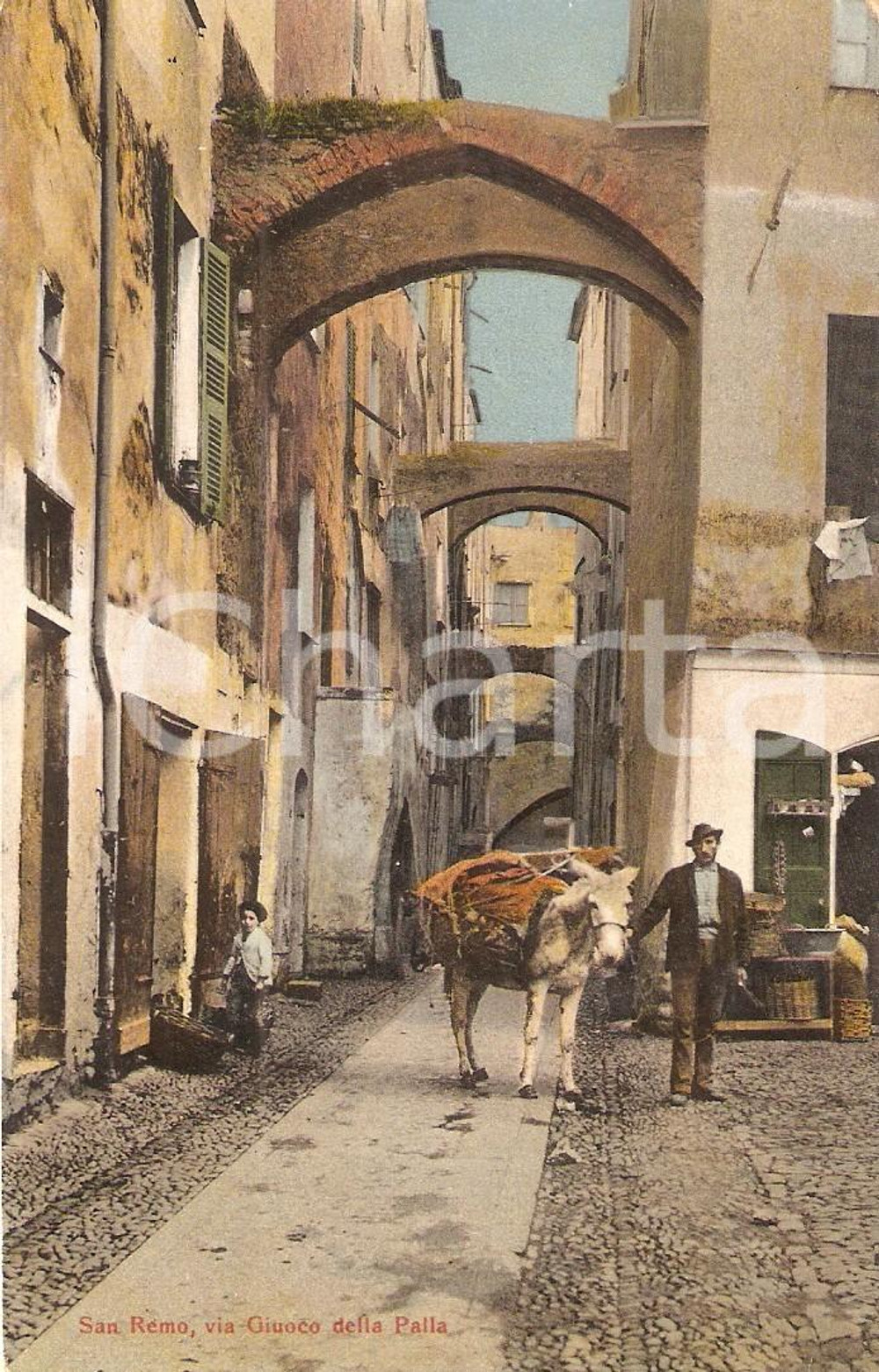 Cartolina originale da collezione 1930 ca SANREMO (IM) Mulo in Via GIUOCO DELLA PALLA *Cartolina FP NV 1