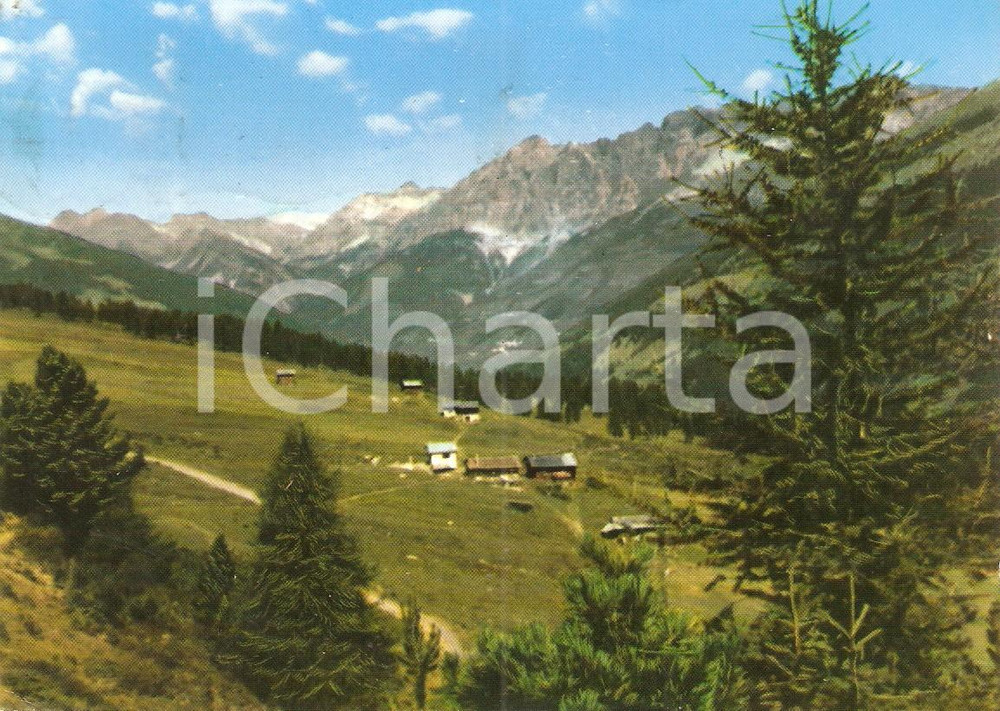 Cartolina originale da collezione 1967 SANTA CATERINA VALFURVA SO Panorama con Malga PLAGHERA Cartolina FG VG 1
