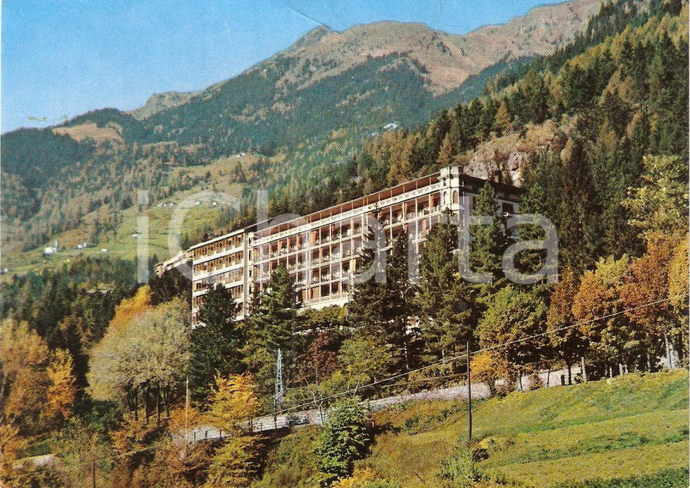 Cartolina originale da collezione 1967 SONDALO (SO) Casa di soggiorno L'ABETINA Panorama *Cartolina FG VG 1