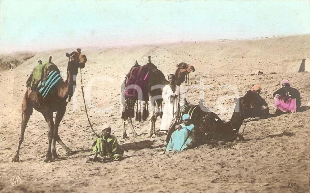 Cartolina originale da collezione 1912 Cammelli e indigeni in pausa nel deserto Cartolina FP VG 1