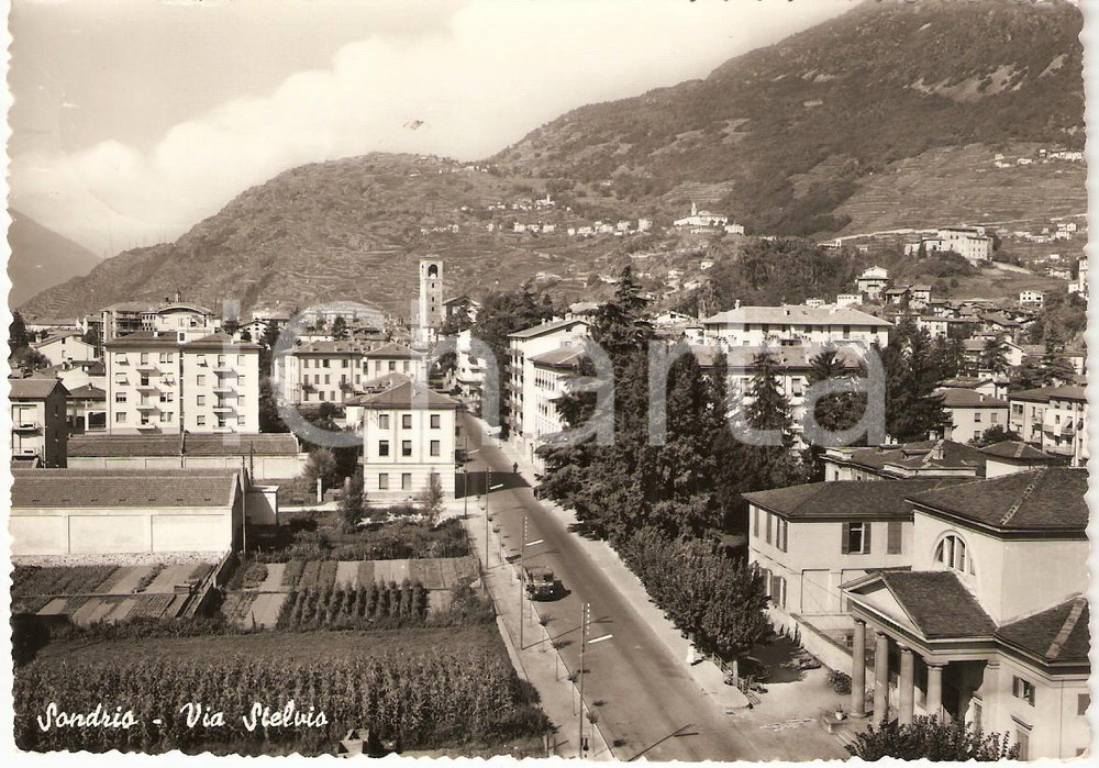 Cartolina originale da collezione 1962 SONDRIO Panorama di Via Stelvio Cartolina FG VG 1