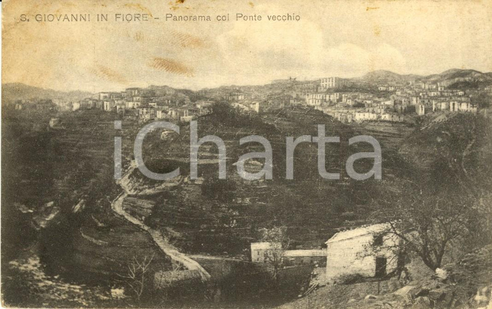 Cartolina originale da collezione 1915 ca SAN GIOVANNI IN FIORE (CS) Panorama con ponte vecchio *DANNEGGIATA FP NV 1
