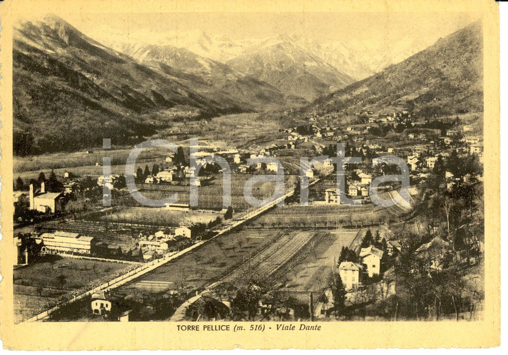 Cartolina originale da collezione 1943 TORRE PELLICE (TO) Viale Dante *Cartolina postale FG VG 1