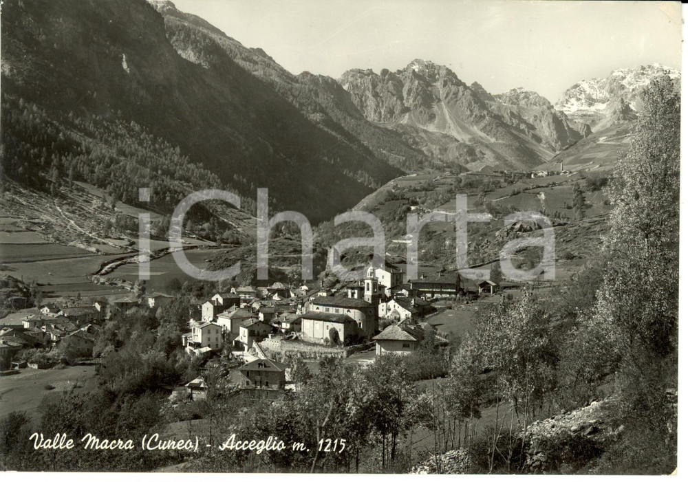 Cartolina originale da collezione 1954 ACCEGLIO (CN) Panorama  *Cartolina postale FG VG 1