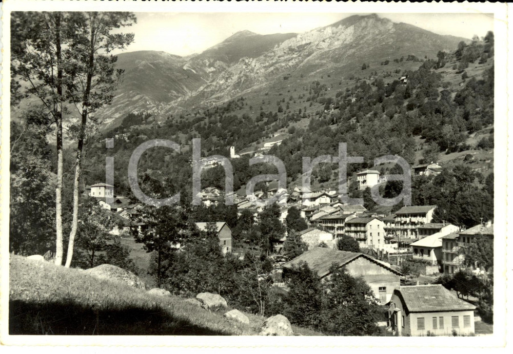 Cartolina originale da collezione 1958 CRISSOLO (CN) Panorama *Cartolina postale FG VG 1