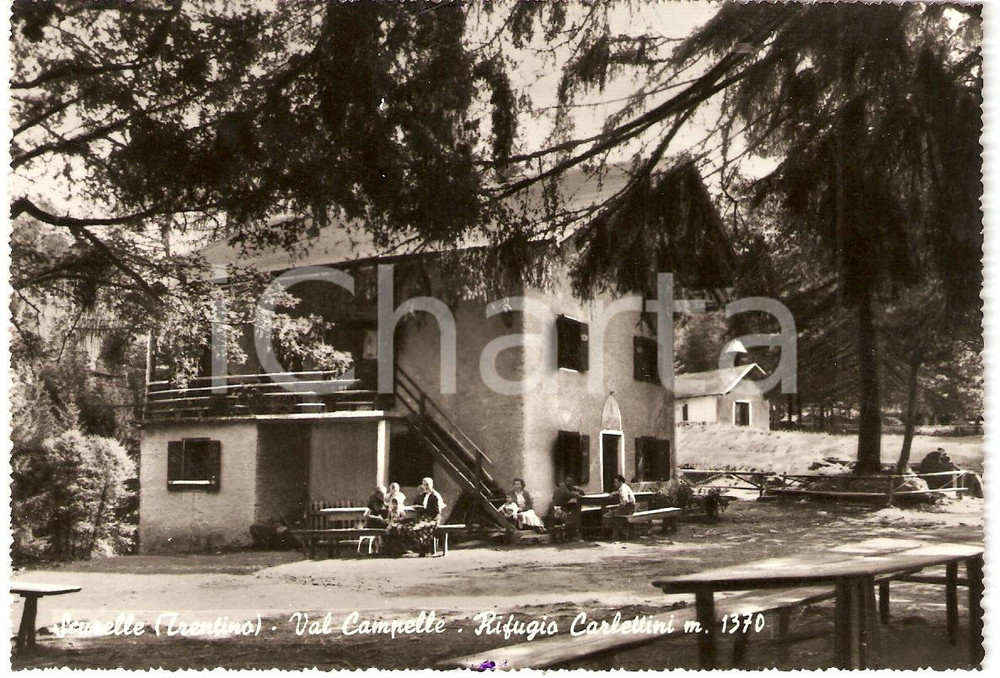 Cartolina originale da collezione 1964 SCURELLE TN Rifugio Carlettini Cartolina postale FG VG 1
