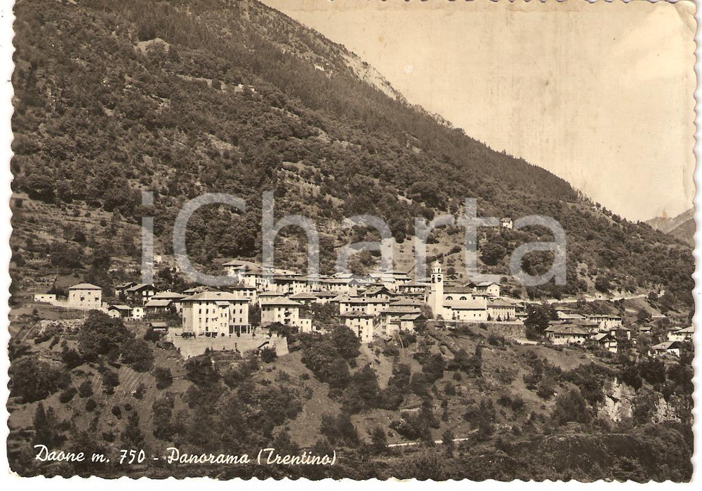 Cartolina originale da collezione 1961 DAONE (TN) Panorama *Cartolina postale FG VG 1