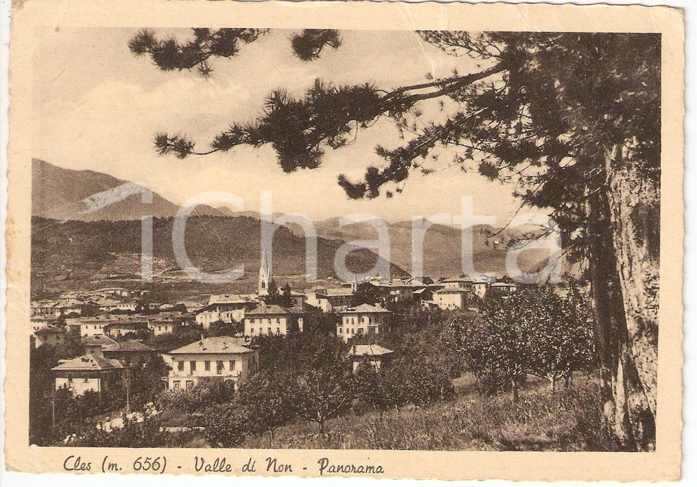 Cartolina originale da collezione 1959 CLES (TN) Panorama *Cartolina postale FG VG 1
