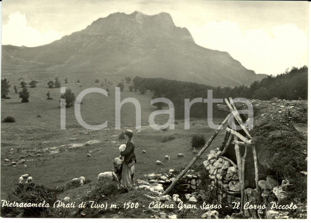 Cartolina originale da collezione 1960 PIETRACAMELA (TE) Catena Gran Sasso Corno Piccolo *Cartolina postale FG VG 1