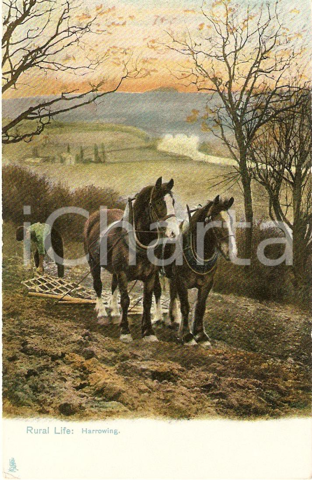 Cartolina originale da collezione 1910 UNITED KINGDOM - RURAL LIFE Harrowing *VINTAGE Postcard FP NV 1