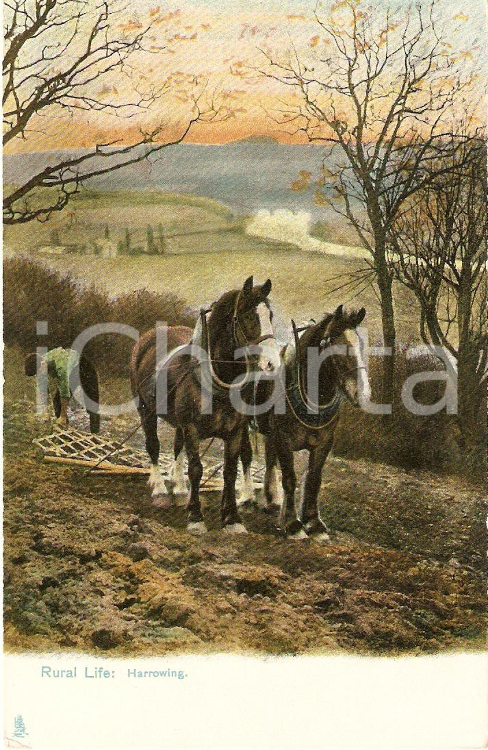 Cartolina originale da collezione 1910 UNITED KINGDOM  RURAL LIFE Harrowing VINTAGE Postcard FP NV 1