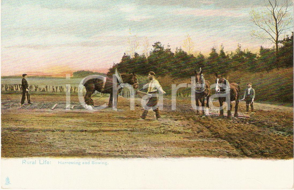 Cartolina originale da collezione 1910 UNITED KINGDOM  RURAL LIFE Harrowing and sowing VINTAGE Postcard FP NV 1