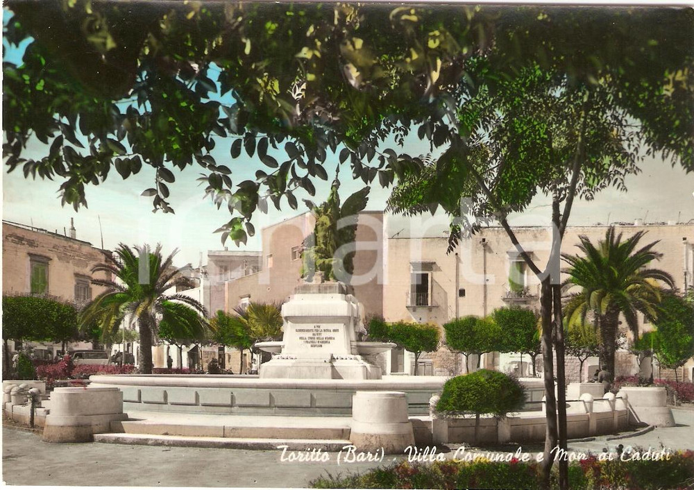 Cartolina originale da collezione 1964 TORITTO (BA) Panorama Villa Comunale e Monumento ai Caduti *Cartolina FG VG 1