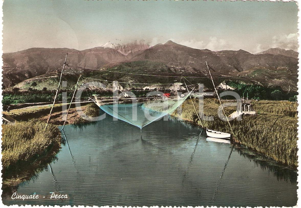 Cartolina originale da collezione 1955 CINQUALE Montignoso MS PESCA SUL FIUME CINQUALE Cartolina FG VG 1