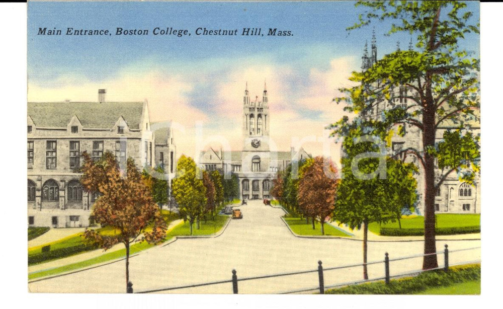 Cartolina originale da collezione 1953 CHESTNUT HILL USA Boston College Cartolina a Olmedo MEZZOLI pittore 1