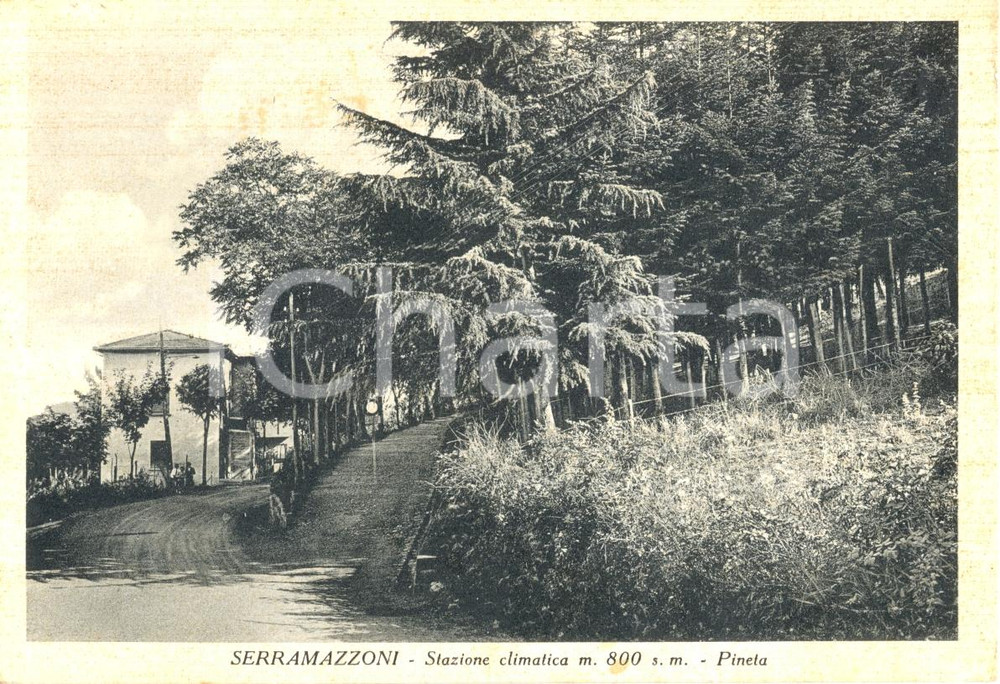 Cartolina originale da collezione 1957 SERRAMAZZONI (MO) Stazione climatica - Pineta *Cartolina animata FG VG 1