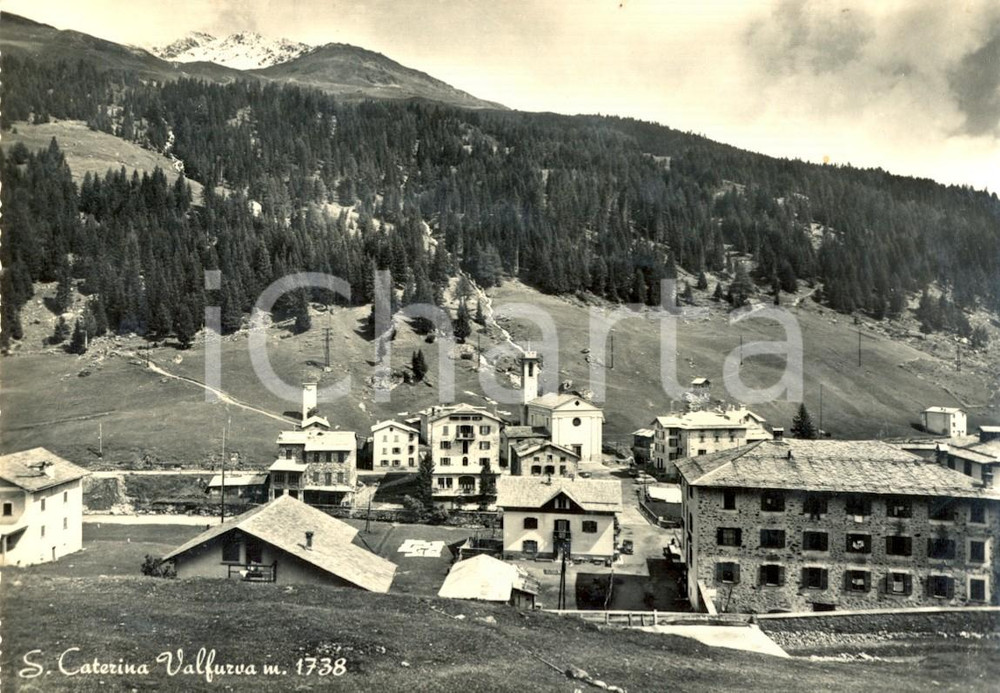 Cartolina originale da collezione 1956 SANTA CATERINA VALFURVA (SO) Veduta generale *Cartolina postale FG VG 1