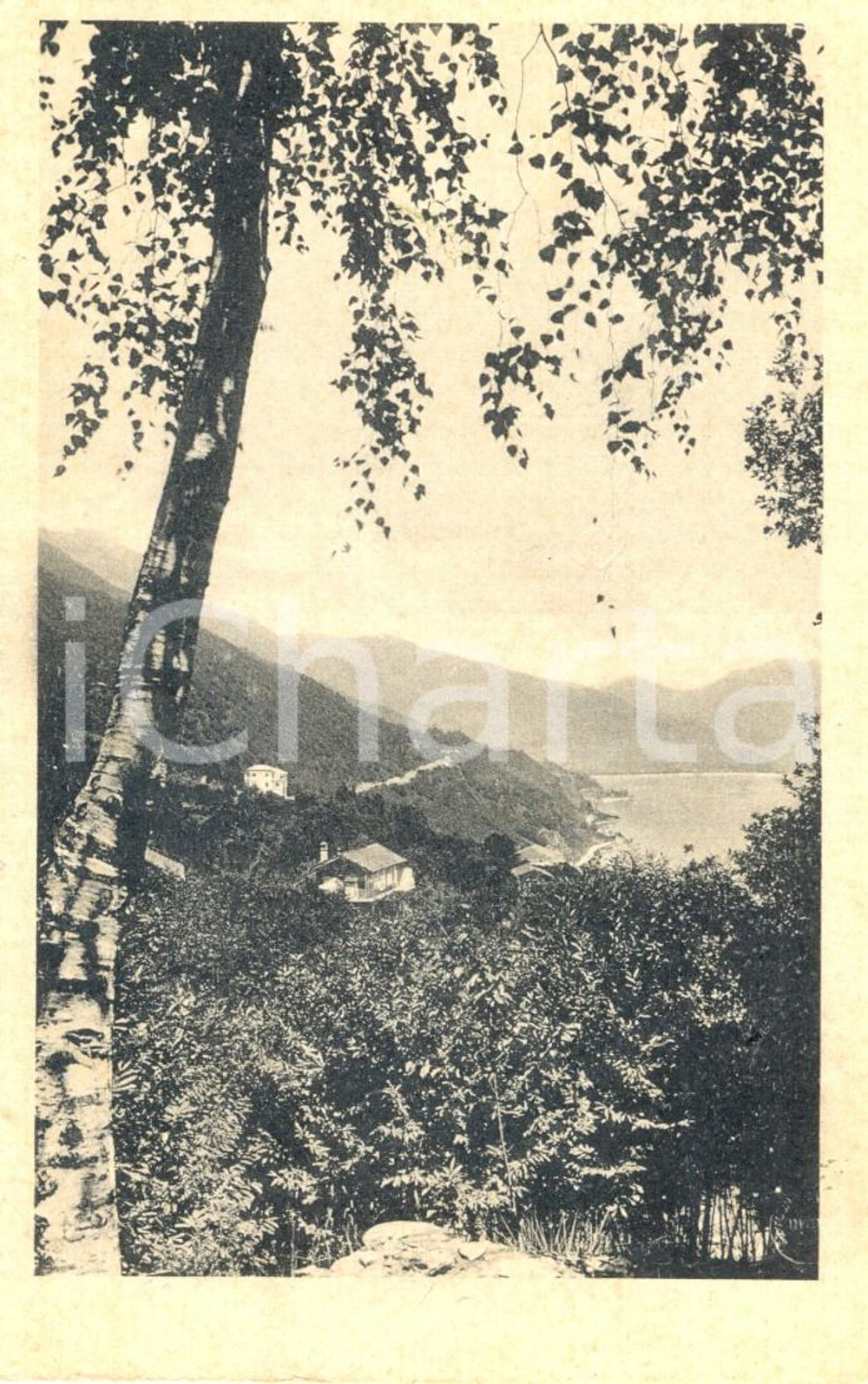 Cartolina originale da collezione 1930 ca OGGEBBIO (VB) Veduta della Riviera e Cannero *Cartolina postale FP 1