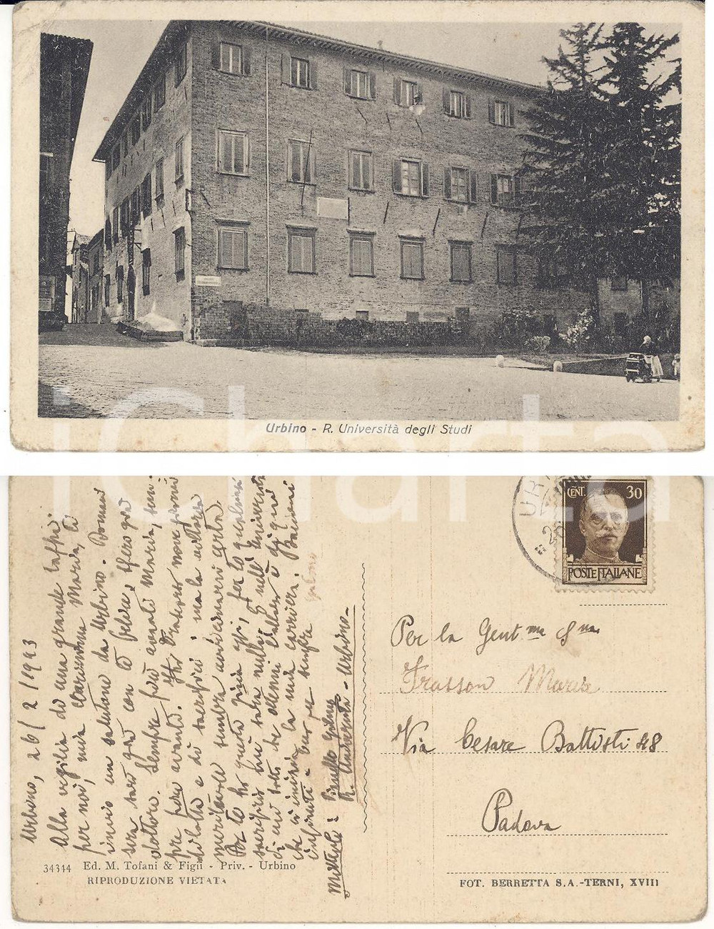 Autografo originale 1943 URBINO Regia UniversitÃ  - Qui ottenni l'alloro *Cartolina Gilmo VIANELLO 1