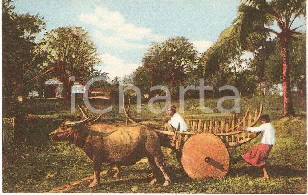 Cartolina originale da collezione 1939 MISSIONI ESTERE - BIRMANIA pittoresca - Carro campestre *Cartolina FP NV 1