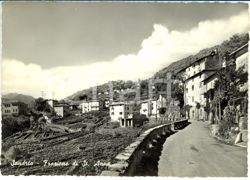 Cartolina originale da collezione 1963 SONDRIO Veduta della frazione SANT ANNA  Cartolina FG VG 1