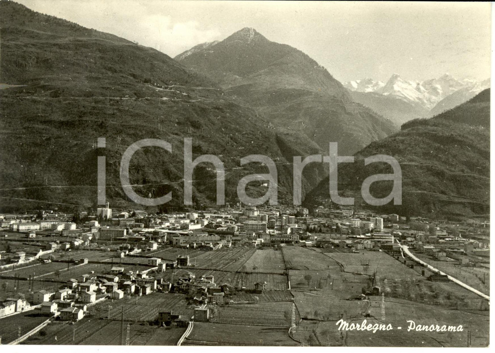 Cartolina originale da collezione 1953 MORBEGNO (SO) Veduta panoramica della vallata *Cartolina FG VG 1