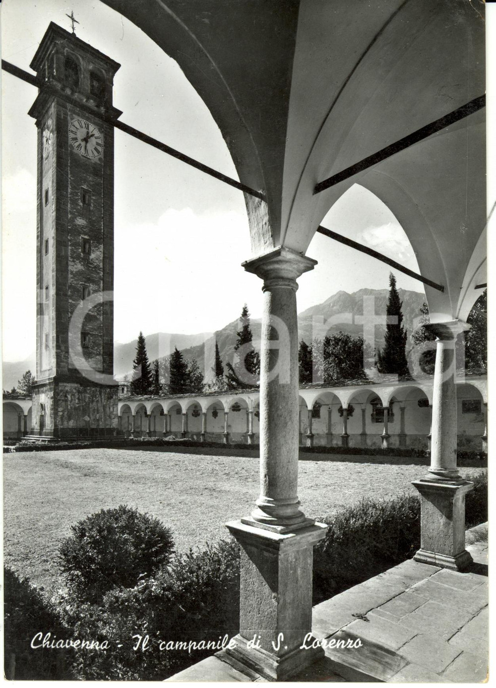 Cartolina originale da collezione 1955 CHIAVENNA SO Il campanile di SAN LORENZO dalla Collegiata Cartolina FG VG 1