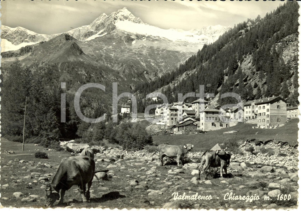Cartolina originale da collezione 1961 CHIESA IN VALMALENCO SO Veduta frazione di CHIAREGGIO ANIMATA FG VG 1
