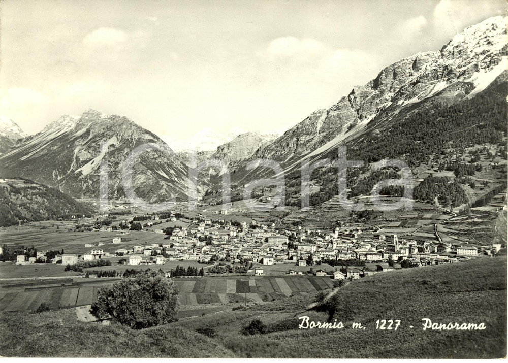 Cartolina originale da collezione 1952 BORMIO (SO) Veduta panoramica della vallata *Cartolina FG VG 1