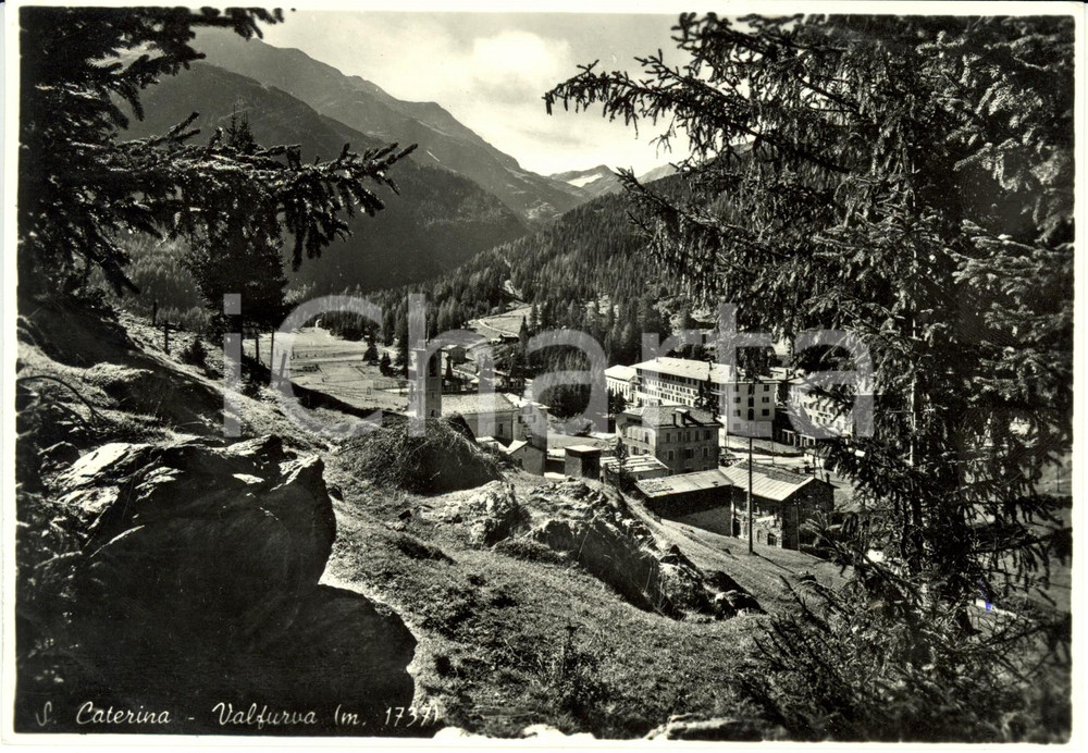 Cartolina originale da collezione 1955 SANTA CATERINA VALFURVA (SO) Veduta panoramica con chiesa *Cartolina FG VG 1