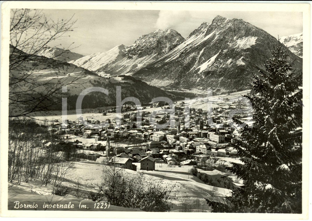 Cartolina originale da collezione 1956 BORMIO (SO) Veduta panoramica del paese innevato *Cartolina FG VG 1
