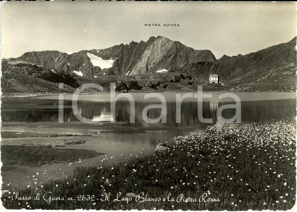 Cartolina originale da collezione 1960 ca PASSO DI GAVIA SO Il lago BIANCO e la PIETRA ROSSA Cartolina FG NV 1